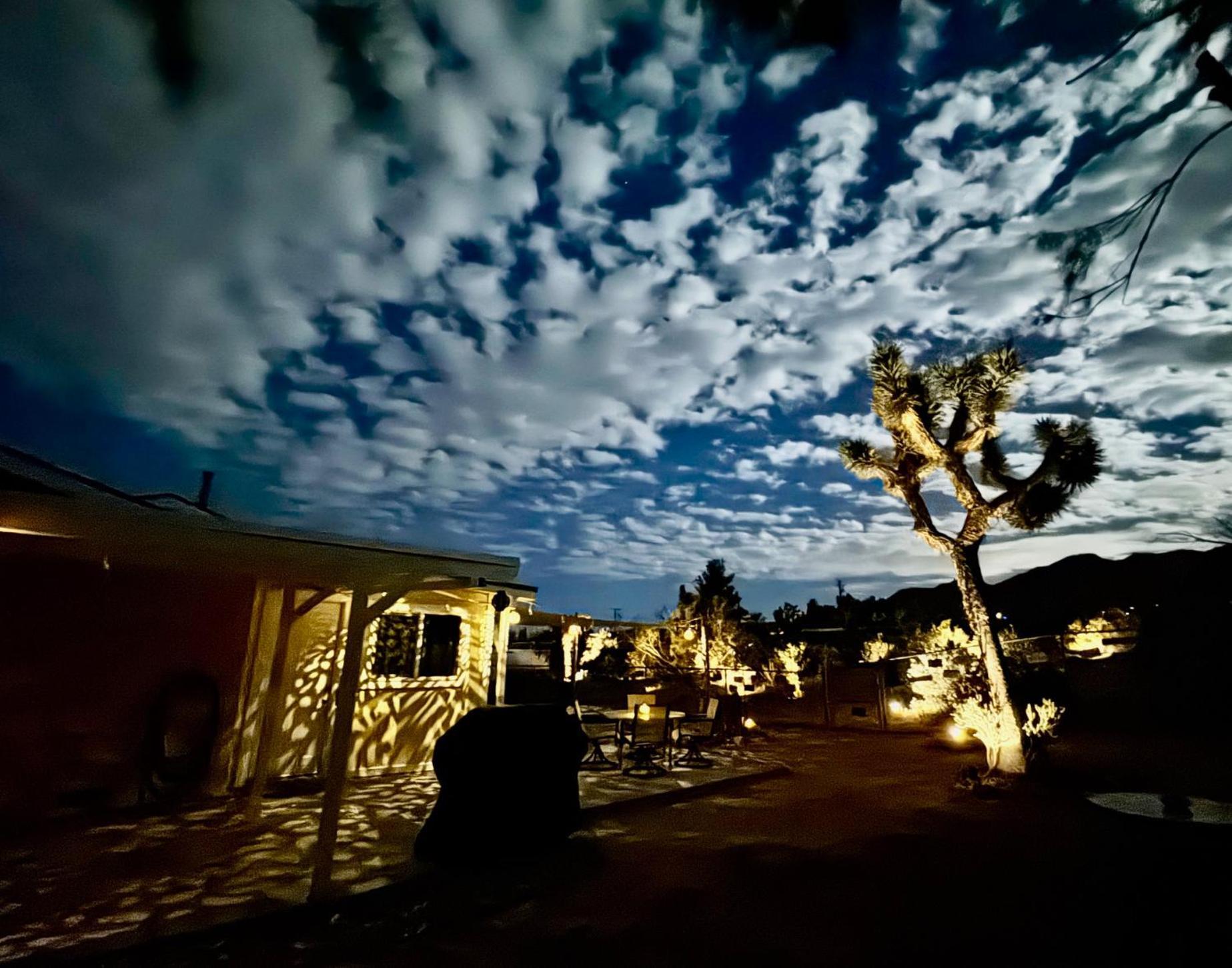Float Pool, Hot Tub, Sauna, Views, Telescope-Skywatchers Haven Joshua Tree Exteriör bild