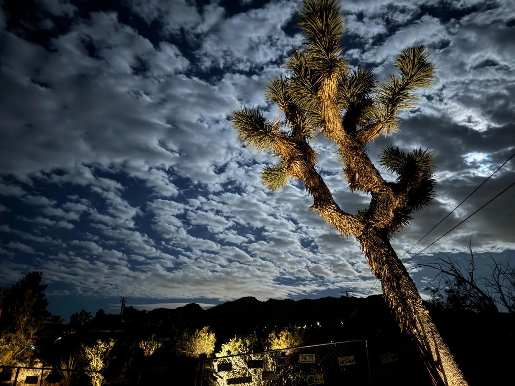 Float Pool, Hot Tub, Sauna, Views, Telescope-Skywatchers Haven Joshua Tree Exteriör bild