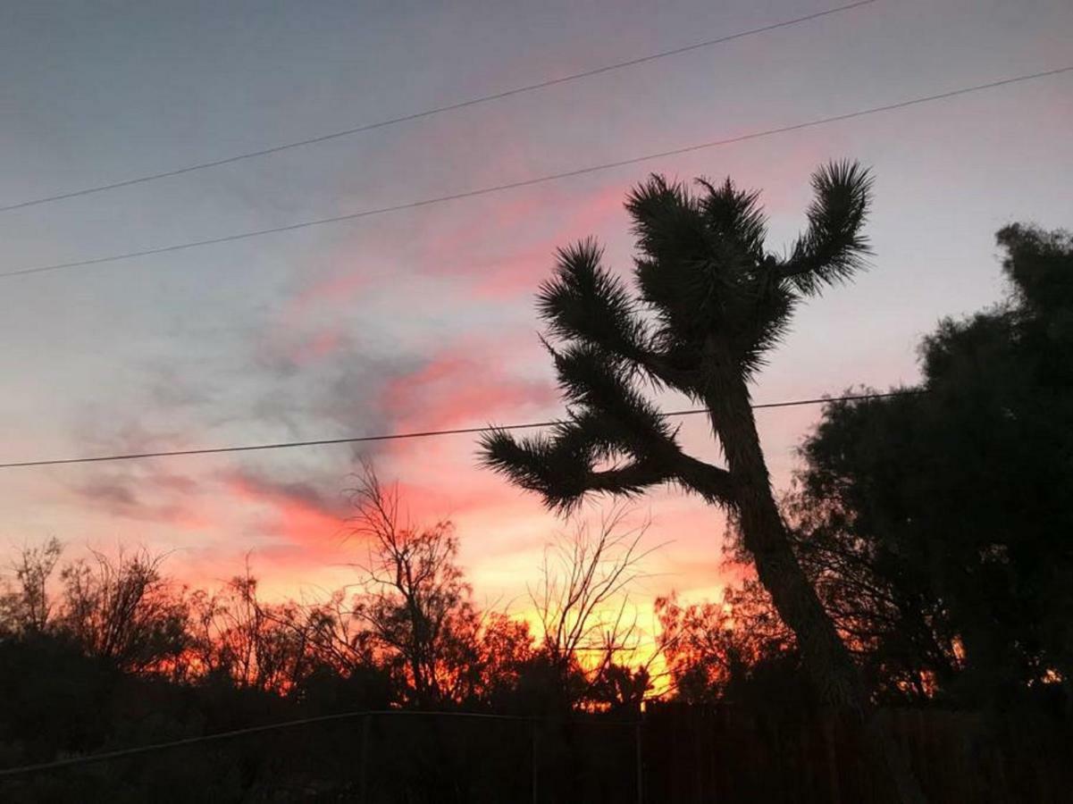 Float Pool, Hot Tub, Sauna, Views, Telescope-Skywatchers Haven Joshua Tree Exteriör bild